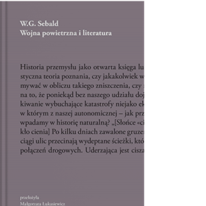 Wojna powietrzna i literatura
